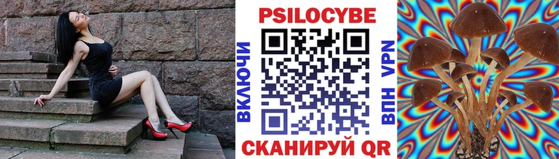 дарк нет наркотические препараты  MEGA ССЫЛКА  Галлюциногенные грибы GOLDEN TEACHER  Палласовка  продажа наркотиков 